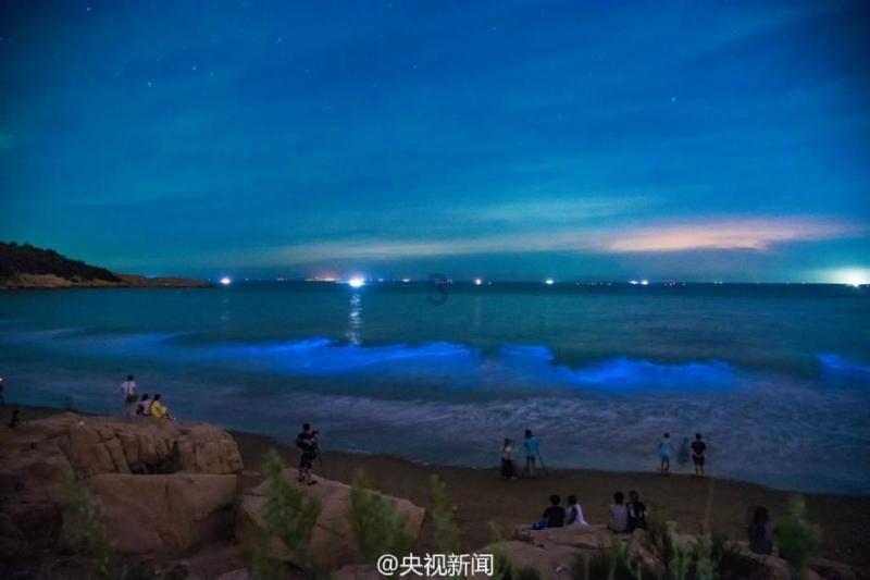张红甫教你做家常鲜美,口感诱人——炒虾子的制作技巧与口感提升