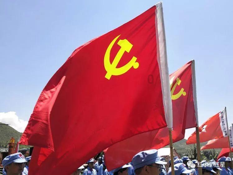 尼尔reincarnation图鉴