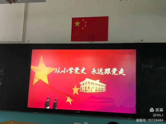 漂亮鹦鹉救援