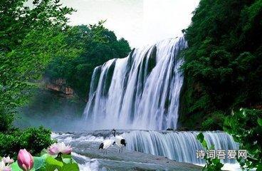 “95后小花”赵露思还能走多远？