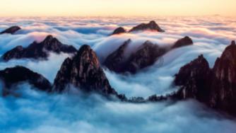 春雨直播app