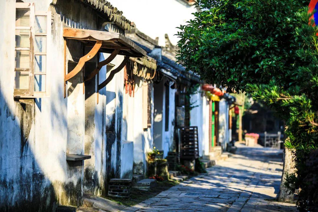 泰坦黎明